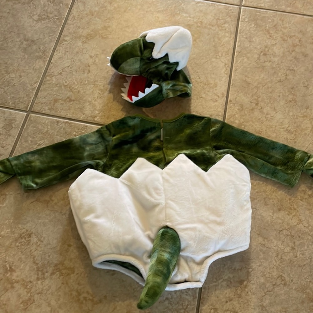 Pottery Barn Kids Baby Green Egg Dinosaur Costume 6-12 months